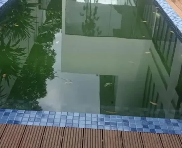 Pembersihan kolam renang professional