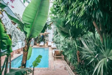 kolam renang tropis yang dibangun dengan taman